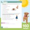 Summer Bridge Activities 5th to 6th Grade Workbooks All Subjects, Middle School Books With Math, Language Arts, Reading Comprehension, Science, Social Studies, Fitness, Flash Cards, and More
